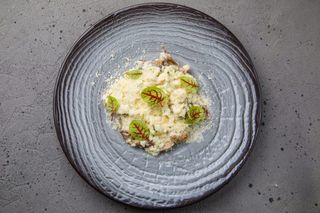 Risotto cu ciuperci albe