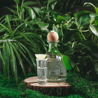 PATRON SILVER (50 мл.)