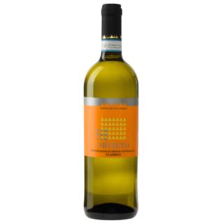 Orvieto Doc - Colli Amerini