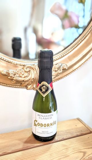 Cava Ecológico Anna De Codorniu Pequeño