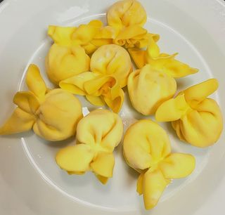 Pasta Sacotinos