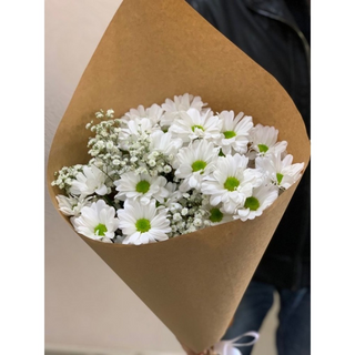 ქრიზანთემები