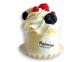 Diplomat cu fructe de pădure