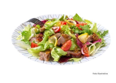 Platos de nuestra huerta