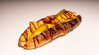 Cheesy Hot Dog