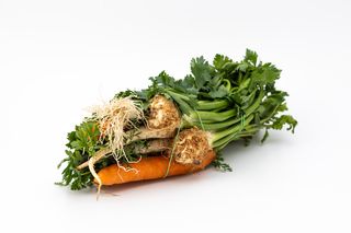 Włoszczyzna. 1 szt.