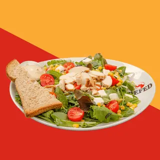 Insalata gallinella
