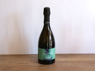 Prosecco D.O.C. Brut Millesimato 11,5% Cantine Borga (Veneto)