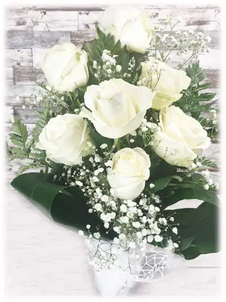 7 Rose Bianche
