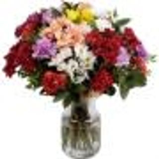 Margaridas da Amizade