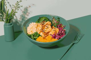 Bol Vegetarian 380/50gr