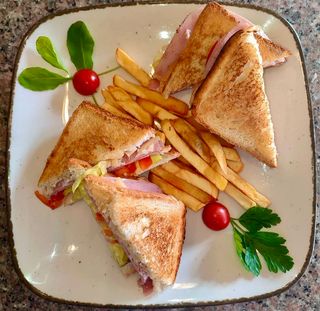 Tost sendvič sa šunkom