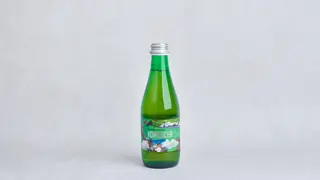 Kombucha Healthy Sencha