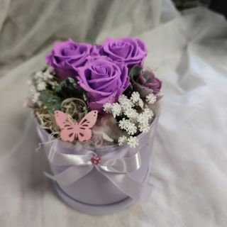 Flower Box Trajna ruža 39