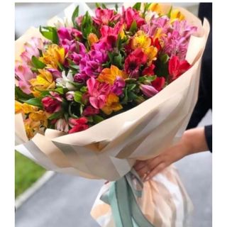 ასტრომერიები