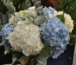Bouquet Vannes