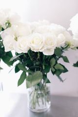 35 თეთრი ვარდი