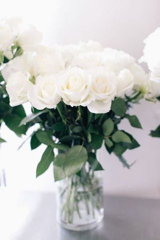 35 თეთრი ვარდი