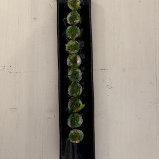 Braised Roll 5 Unidades