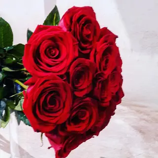 Bunch 10 rosas rojas