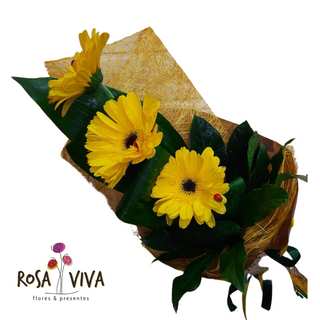 Arranjo de 3 Gerberas