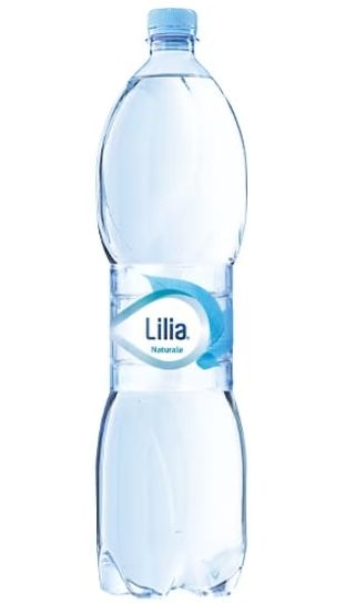 Acqua naturale grande