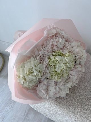 5 гортензій 