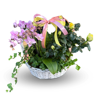 Kwiatowy kosz z orchideą