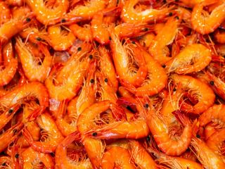crevette gambas