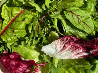 Мікс салату (30g)