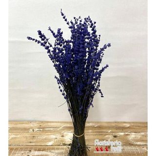 Lavanda Preservada