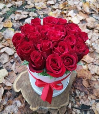 Cutie 19 trandafiri rosii