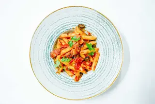 Penne Ţărănești