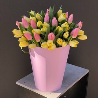 Bukiet 51 tulipanów