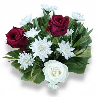 Douce Romance