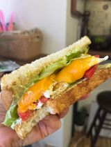 Вегетариански тост