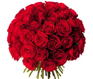 Bouquet de 25 rosas preparado para regalo