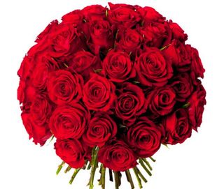 Bouquet de 25 rosas preparado para regalo