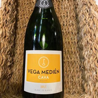 Cava Vega Medien