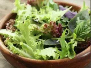 Vegetarian salade pane