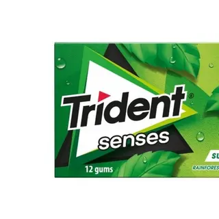 Trident Senses Rainforest Mint 23 gr