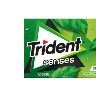 Trident Senses Rainforest Mint 23 gr