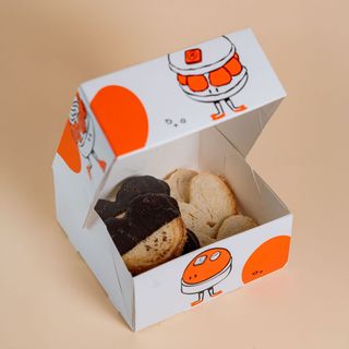 Caja 6 mini palmeras mix