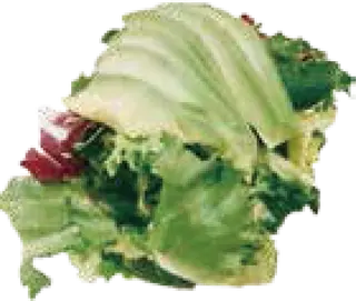 65. Ensalada De La Casa