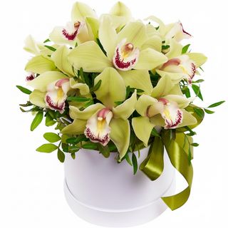 Квіти в коробці"Чарівні орхідеї"