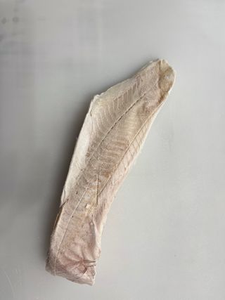 Filet Morszczuka Kapskiego