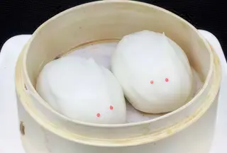 33. Yutu Bao