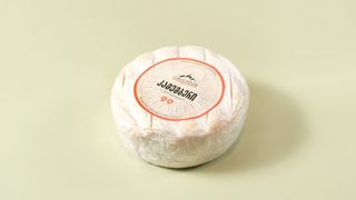 კამემბერი