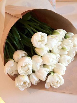  თეთრი ტიტა