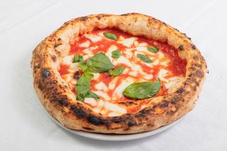 REGINA MARGHERITAð